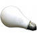 General Brand PH213 Lamp - 250 watts/120 volts