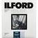Ilford Multigrade IV RC DLX 8x10/25 Pearl