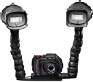 Sealife Dual strobe kit