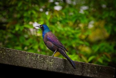 Sony FE 100-400mm GM Sample Photo 1