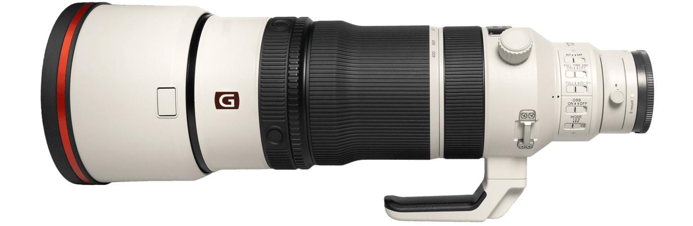 Sony FE 100-400mm f/4.5 GM Lens