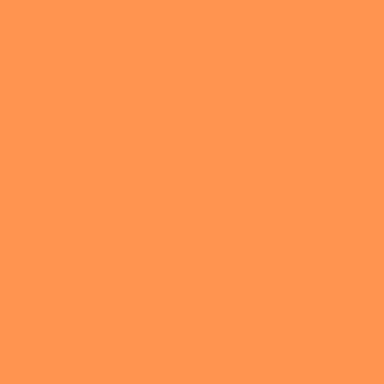Rosco #18 Filter - Flame - 20x24"