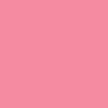 Rosco #34 Filter - Flesh Pink - 20x24"