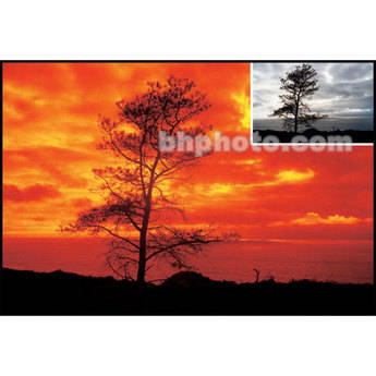 Cokin A Series Orange 0.2 Filter (0.6 Stop)