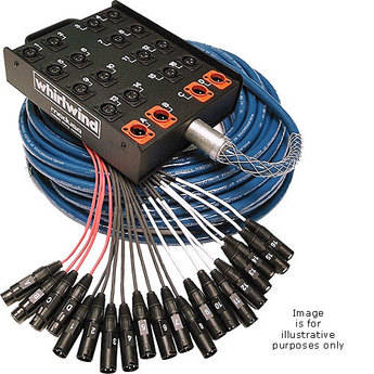 Whirlwind Medusa Standard 12 Channel (0x Return) Snake (50')