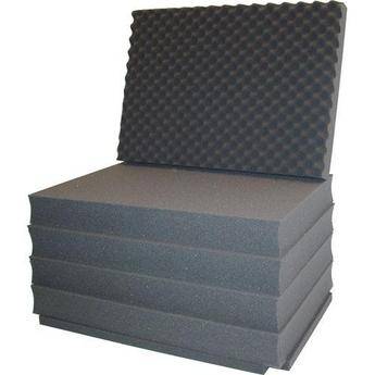 PortaBrace PB-2650FO Replacement Foam Set