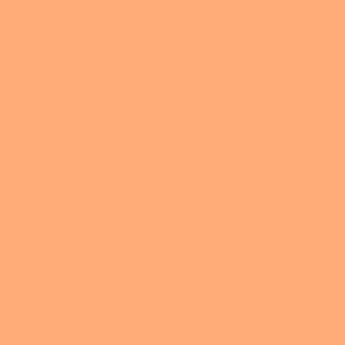 Rosco Roscolux #303 Filter - Warm Peach - 20x24" Sheet