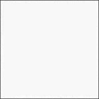 Rosco E-Colour #228 Brushed Silk (48" x 25' Roll)