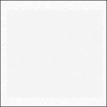 Rosco Fluorescent Lighting Sleeve/Tube Guard (#3064 Silent 1/4 Grid Cloth, 2')