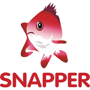 Audio Ease Snapper 2 - Audio Playback and Format Conversion Software (Upgrade)