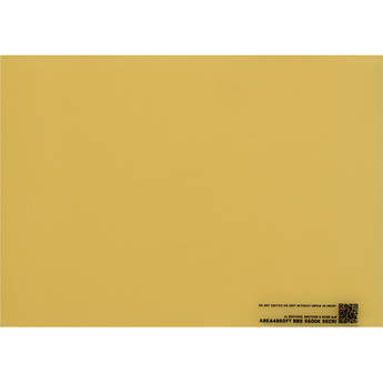 BB&S Lighting Interchangeable 5600K Phosphor Panel for Area 48 LED Light