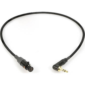 Remote Audio Unbalanced Stereo Adapter Cable for Tape / Mix Outputs (1')