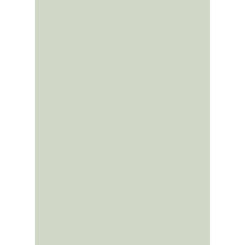 Westcott Solid Color Art Canvas Backdrop with Grommets (5 x 7', Light Green)