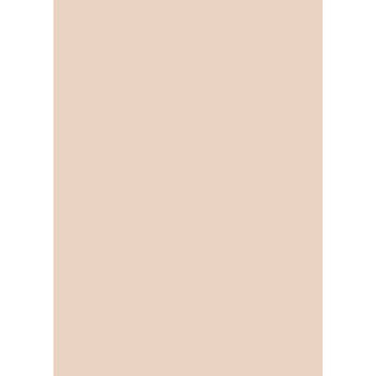 Westcott Solid Color Art Canvas Backdrop with Grommets (5 x 7', Light Orange)
