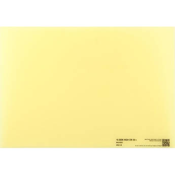 BB&S Lighting Interchangeable 10,000K Phosphor Panel for Area 48 LED Light