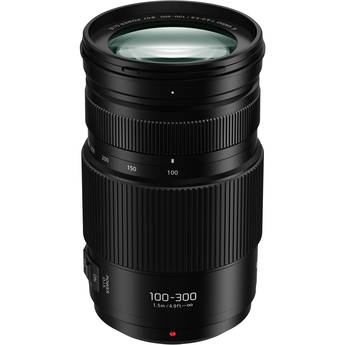 Panasonic LUMIX G Vario 100-300mm f/4-5.6 II POWER O.I.S. Lens