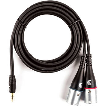 D'Addario PW-MPXLR-06 Planet Waves Custom Series 3.5mm to Dual XLR Y-Cable (6')