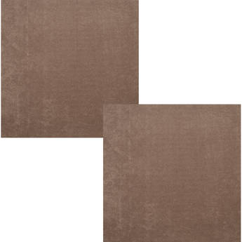 Auralex SonoLite 1" Panel (24 x 24", Pair, Tan}