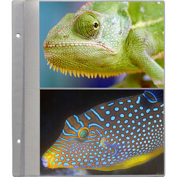 Pioneer Photo Albums R57 Refill Pages for the PS-5781 Photo Album (Pack of 5)