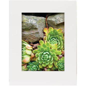 Lineco Basics 2-Ply Standard Frame Size Buffered 100% Rag Gallery Mat Board (25 Sheets, 11 x 14", White)