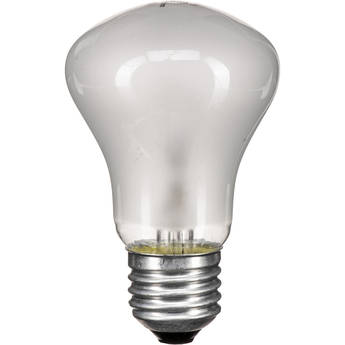 Elinchrom Modeling Lamp for EL250 and EL250C (100W, 90V)