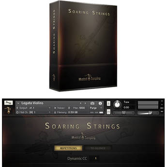Musical Sampling Soaring Strings - Instrument Library (Download)