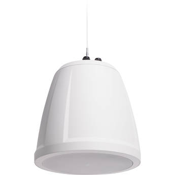 QSC AD-P.SUB 6.5" Small-Format Passive Pendant Subwoofer (White)