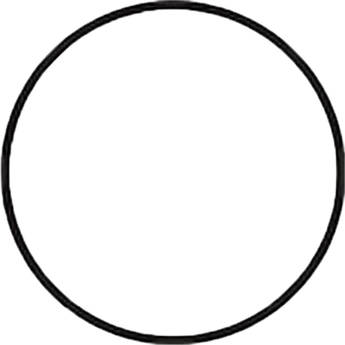 Fantasea Line Main O-Ring for FRX and FG9X Underwater Housings (Black)