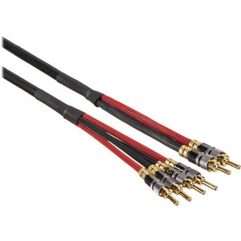 Canare 4S11 Bi-Wire Speaker Cable - 2-Banana to 4-Banana (Black, 35')