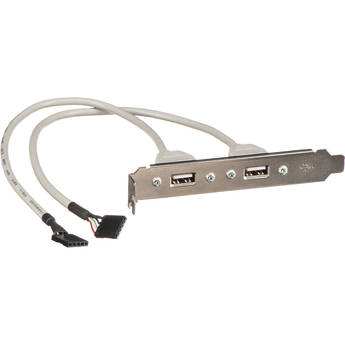 Rocstor 2-Port USB Type-A Female Slot Plate Adapter (8")