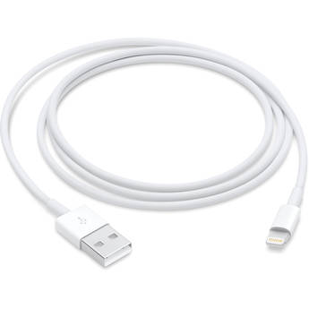 Apple USB Type-A to Lightning Cable (3.3')
