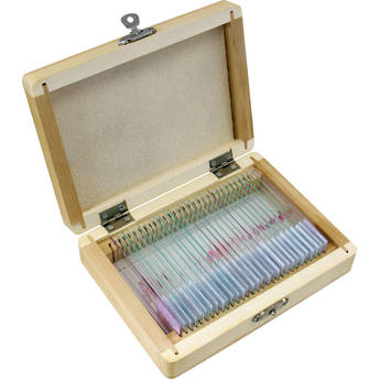 BRESSER 30-Piece Prepared Microscope Slides Set (Animals, Wooden Box)
