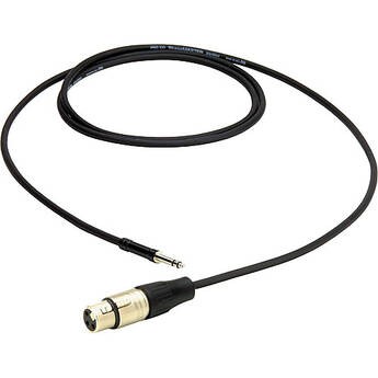Pro Co Sound ShowSavers Tiny Tip Male to XLR Female Cable - 2'