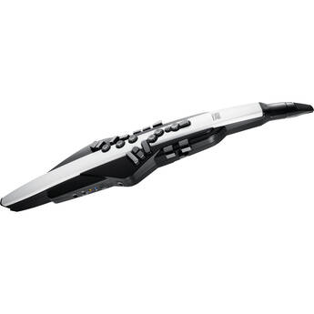Roland Aerophone AE-20 Digital Wind Instrument