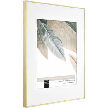 MCS Framatic Fineline Frame with 11 x 14" Glass & 8 x 10" Mat (Brass)