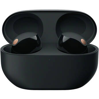 Sony WF-1000XM5 True Wireless Noise-Canceling In-Ear Headphones (Black)