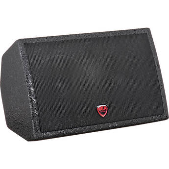 Nady PM-100 Dual 5" Passive Personal Stage Monitor Speaker
