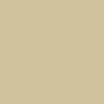 Tiffen 5 x 6" 81D Light Balancing Filter