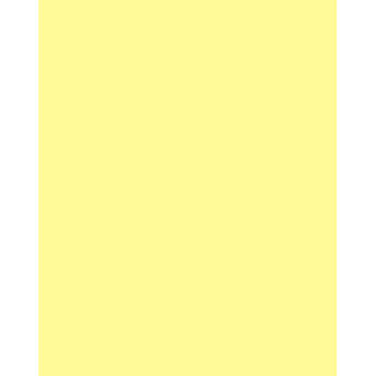 Tiffen 4 x 6" CC20Y Yellow Filter