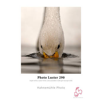 Hahnemuhle Photo Luster 290 Inkjet Roll Paper (24" x 100')