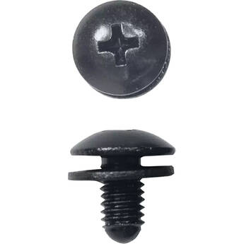 Lowell Manufacturing Phillips Truss Head Short Rack Screws with Blunt End (100-Piece Bag, Black)