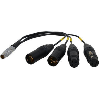 Bolin Technology BLA-10 10-Pin LEMO Connector to XLR Breakout Audio Cable (10.5")