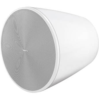Bose Professional DesignMax DM10P-Sub 300W 10" Passive Subwoofer (White)