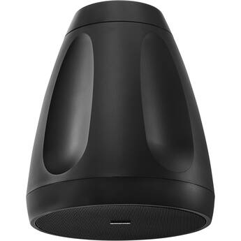 Shure MXP-6 Microflex Passive Pendant Conferencing Loud Speaker (Black, Single)