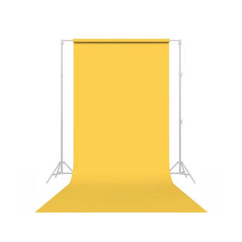Savage #04 Sand Seamless Background Paper (86" x 36')