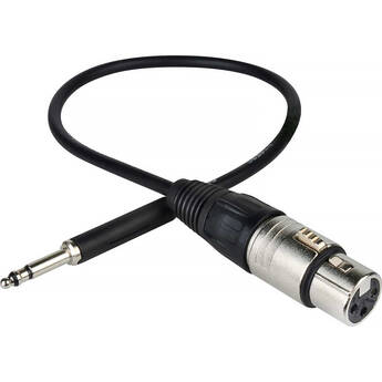 Sescom Patch Cable Bantam TT Male to 3-Pin XLR Female (1')