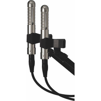 Warm Audio Fen-tone Figure-8 Instrument Ribbon Microphone (Matched Pair)