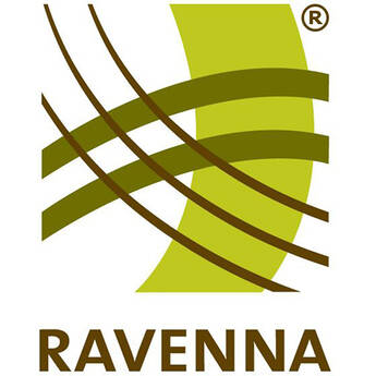 Merging Technologies NET-MSC-GBEX1 MassCore Ravenna Network Interface PCIe Card