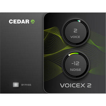 CEDAR Audio Icons VoicEX 2 Voice-Extraction Plug-In