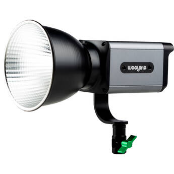 Weeylite Ninja 200 Bi-Color LED Light
